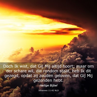 Picture 03 - Johannes 11:42 NLD - Doch Ik wist, dat Gij Mij altijd hoort; maar om - Bible Verse Picture