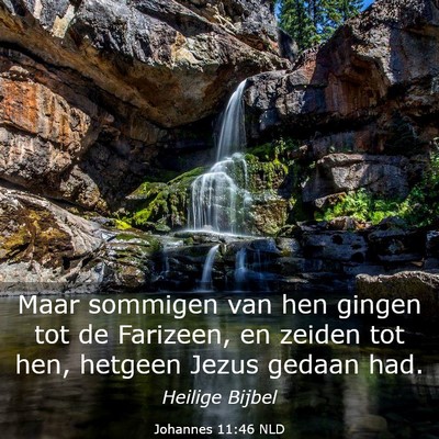 Picture 03 - Johannes 11:46 NLD - Maar sommigen van hen gingen tot de Farizeen, en - Bible Verse Picture
