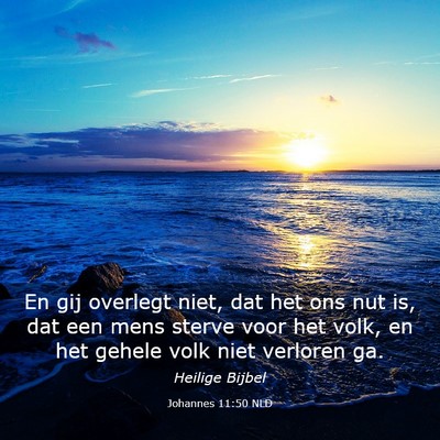 Picture 03 - Johannes 11:50 NLD - En gij overlegt niet, dat het ons nut is, dat een - Bible Verse Picture