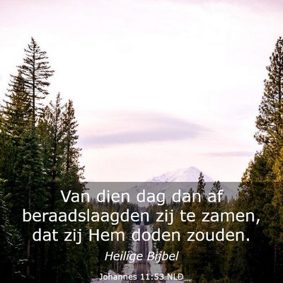 Picture 03 - Johannes 11:53 NLD - Van dien dag dan af beraadslaagden zij te zamen, - Bible Verse Picture