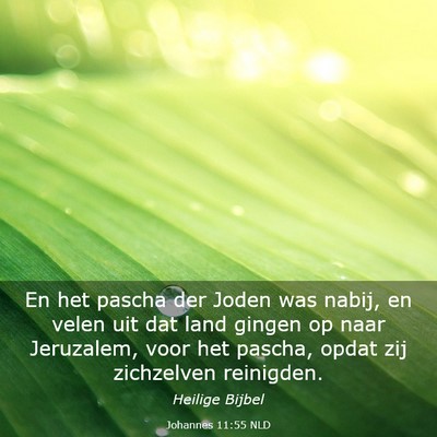 Picture 03 - Johannes 11:55 NLD - En het pascha der Joden was nabij, en velen uit - Bible Verse Picture