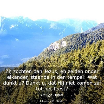 Picture 03 - Johannes 11:56 NLD - Zij zochten dan Jezus, en zeiden onder elkander, - Bible Verse Picture