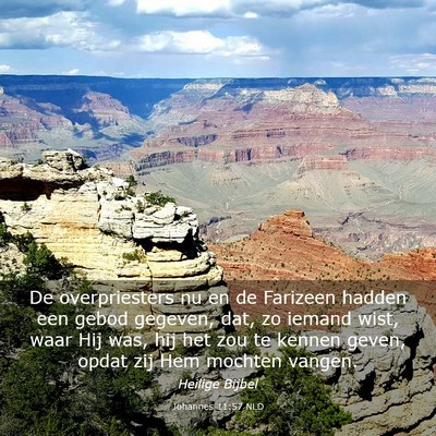 Picture 03 - Johannes 11:57 NLD - De overpriesters nu en de Farizeen hadden een - Bible Verse Picture