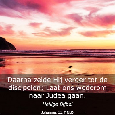 Picture 03 - Johannes 11:7 NLD - Daarna zeide Hij verder tot de discipelen: Laat - Bible Verse Picture