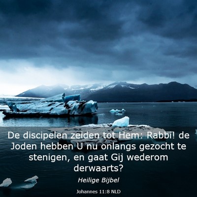 Picture 03 - Johannes 11:8 NLD - De discipelen zeiden tot Hem: Rabbi! de Joden - Bible Verse Picture