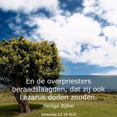 Picture 03 - Johannes 12:10 NLD - En de overpriesters beraadslaagden, dat zij ook - Bible Verse Picture