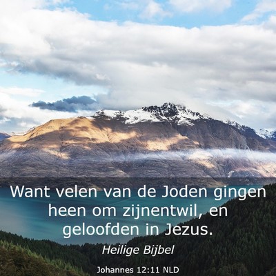 Picture 03 - Johannes 12:11 NLD - Want velen van de Joden gingen heen om - Bible Verse Picture