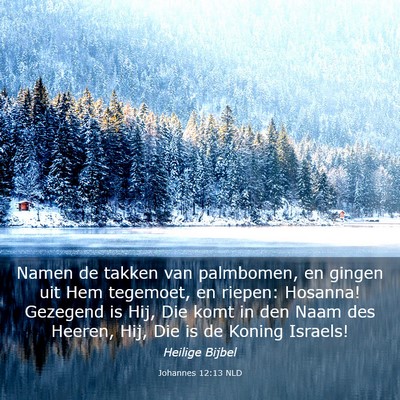 Picture 03 - Johannes 12:13 NLD - Namen de takken van palmbomen, en gingen uit Hem - Bible Verse Picture