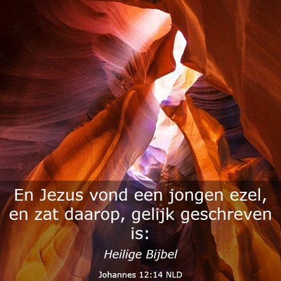 Picture 03 - Johannes 12:14 NLD - En Jezus vond een jongen ezel, en zat daarop, - Bible Verse Picture