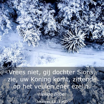 Picture 03 - Johannes 12:15 NLD - Vrees niet, gij dochter Sions, zie, uw Koning - Bible Verse Picture