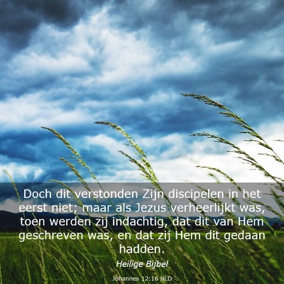 Picture 03 - Johannes 12:16 NLD - Doch dit verstonden Zijn discipelen in het eerst - Bible Verse Picture