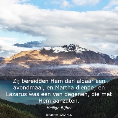Picture 03 - Johannes 12:2 NLD - Zij bereidden Hem dan aldaar een avondmaal, en - Bible Verse Picture