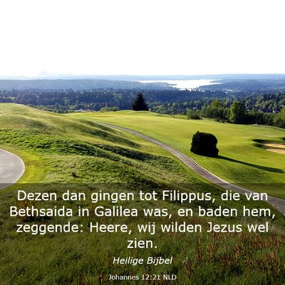 Picture 03 - Johannes 12:21 NLD - Dezen dan gingen tot Filippus, die van Bethsaida - Bible Verse Picture