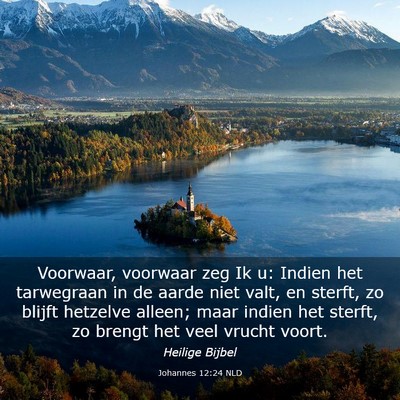 Picture 03 - Johannes 12:24 NLD - Voorwaar, voorwaar zeg Ik u: Indien het - Bible Verse Picture