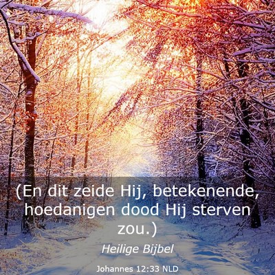 Picture 03 - Johannes 12:33 NLD - (En dit zeide Hij, betekenende, hoedanigen dood - Bible Verse Picture