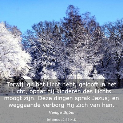 Picture 03 - Johannes 12:36 NLD - Terwijl gij het Licht hebt, gelooft in het Licht, - Bible Verse Picture
