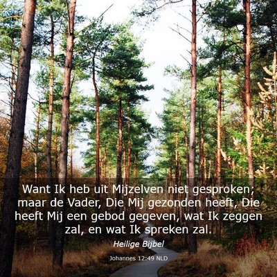Picture 03 - Johannes 12:49 NLD - Want Ik heb uit Mijzelven niet gesproken; maar de - Bible Verse Picture
