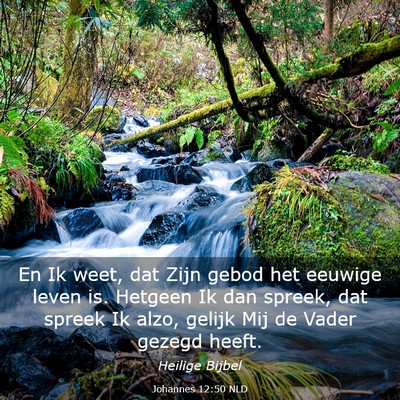 Picture 03 - Johannes 12:50 NLD - En Ik weet, dat Zijn gebod het eeuwige leven is. - Bible Verse Picture