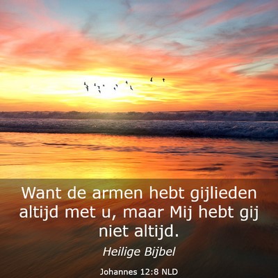 Picture 03 - Johannes 12:8 NLD - Want de armen hebt gijlieden altijd met u, maar - Bible Verse Picture