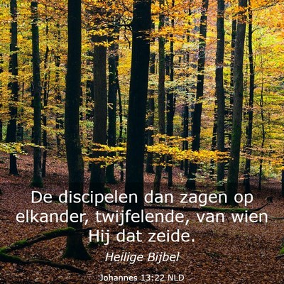 Picture 03 - Johannes 13:22 NLD - De discipelen dan zagen op elkander, twijfelende, - Bible Verse Picture