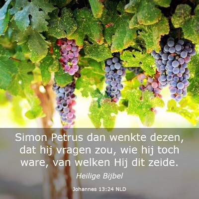 Picture 03 - Johannes 13:24 NLD - Simon Petrus dan wenkte dezen, dat hij vragen - Bible Verse Picture