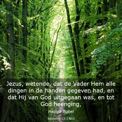 Picture 03 - Johannes 13:3 NLD - Jezus, wetende, dat de Vader Hem alle dingen in - Bible Verse Picture