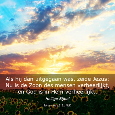 Picture 03 - Johannes 13:31 NLD - Als hij dan uitgegaan was, zeide Jezus: Nu is de - Bible Verse Picture