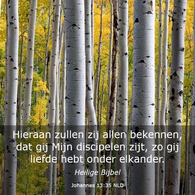Picture 03 - Johannes 13:35 NLD - Hieraan zullen zij allen bekennen, dat gij Mijn - Bible Verse Picture
