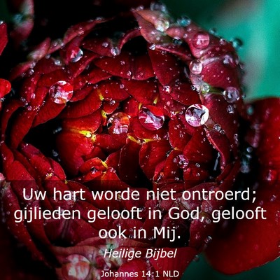 Picture 03 - Johannes 14:1 NLD - Uw hart worde niet ontroerd; gijlieden gelooft in - Bible Verse Picture
