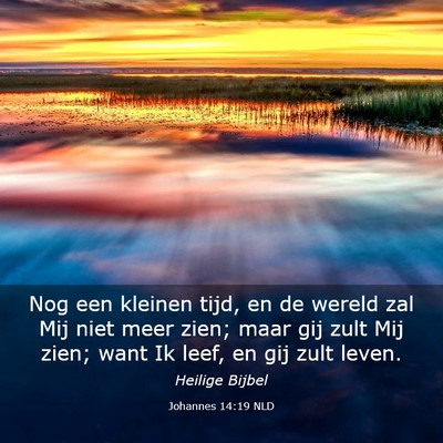 Picture 03 - Johannes 14:19 NLD - Nog een kleinen tijd, en de wereld zal Mij niet - Bible Verse Picture
