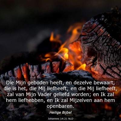 Picture 03 - Johannes 14:21 NLD - Die Mijn geboden heeft, en dezelve bewaart, die - Bible Verse Picture