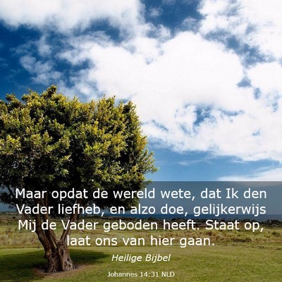 Picture 03 - Johannes 14:31 NLD - Maar opdat de wereld wete, dat Ik den Vader - Bible Verse Picture