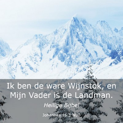 Picture 03 - Johannes 15:1 NLD - Ik ben de ware Wijnstok, en Mijn Vader is de - Bible Verse Picture