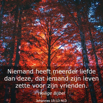 Picture 03 - Johannes 15:13 NLD - Niemand heeft meerder liefde dan deze, dat iemand - Bible Verse Picture