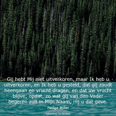 Picture 03 - Johannes 15:16 NLD - Gij hebt Mij niet uitverkoren, maar Ik heb u - Bible Verse Picture