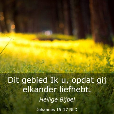 Picture 03 - Johannes 15:17 NLD - Dit gebied Ik u, opdat gij elkander - Bible Verse Picture