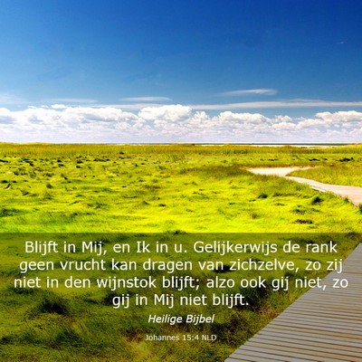 Picture 03 - Johannes 15:4 NLD - Blijft in Mij, en Ik in u. Gelijkerwijs de rank - Bible Verse Picture