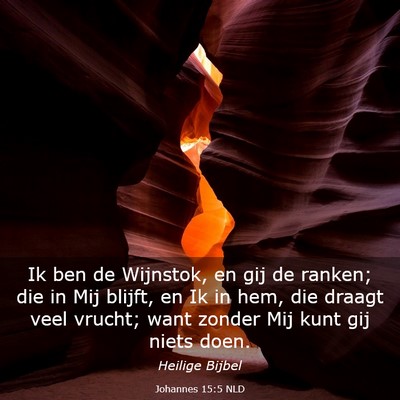 Picture 03 - Johannes 15:5 NLD - Ik ben de Wijnstok, en gij de ranken; die in Mij - Bible Verse Picture