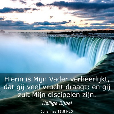 Picture 03 - Johannes 15:8 NLD - Hierin is Mijn Vader verheerlijkt, dat gij veel - Bible Verse Picture