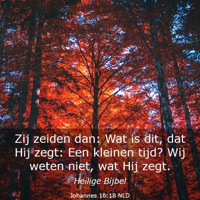 Picture 03 - Johannes 16:18 NLD - Zij zeiden dan: Wat is dit, dat Hij zegt: Een - Bible Verse Picture