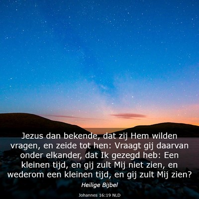 Picture 03 - Johannes 16:19 NLD - Jezus dan bekende, dat zij Hem wilden vragen, en - Bible Verse Picture