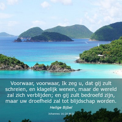 Picture 03 - Johannes 16:20 NLD - Voorwaar, voorwaar, Ik zeg u, dat gij zult - Bible Verse Picture