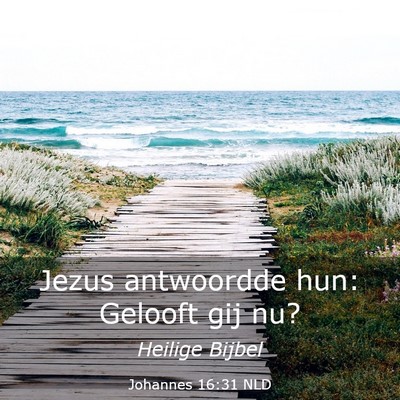 Picture 03 - Johannes 16:31 NLD - Jezus antwoordde hun: Gelooft gij - Bible Verse Picture