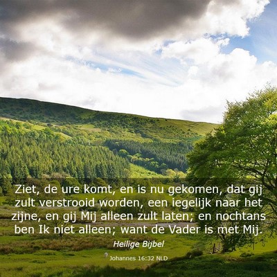 Picture 03 - Johannes 16:32 NLD - Ziet, de ure komt, en is nu gekomen, dat gij zult - Bible Verse Picture