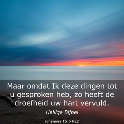 Picture 03 - Johannes 16:6 NLD - Maar omdat Ik deze dingen tot u gesproken heb, zo - Bible Verse Picture