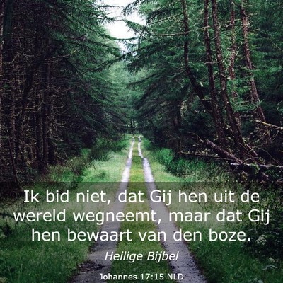 Picture 03 - Johannes 17:15 NLD - Ik bid niet, dat Gij hen uit de wereld wegneemt, - Bible Verse Picture