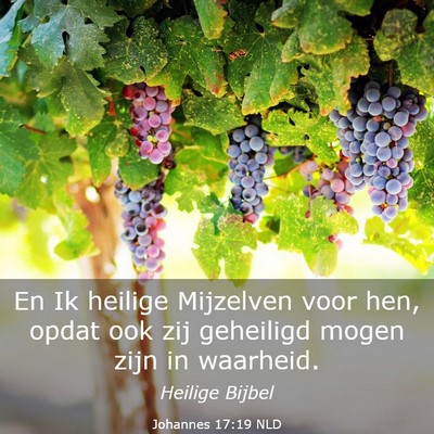 Picture 03 - Johannes 17:19 NLD - En Ik heilige Mijzelven voor hen, opdat ook zij - Bible Verse Picture