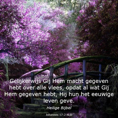 Picture 03 - Johannes 17:2 NLD - Gelijkerwijs Gij Hem macht gegeven hebt over alle - Bible Verse Picture