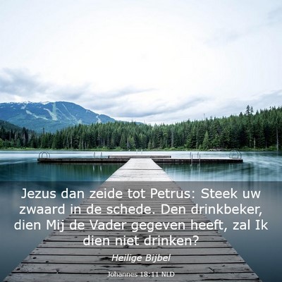 Picture 03 - Johannes 18:11 NLD - Jezus dan zeide tot Petrus: Steek uw zwaard in de - Bible Verse Picture