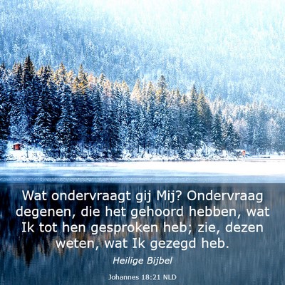 Picture 03 - Johannes 18:21 NLD - Wat ondervraagt gij Mij? Ondervraag degenen, die - Bible Verse Picture
